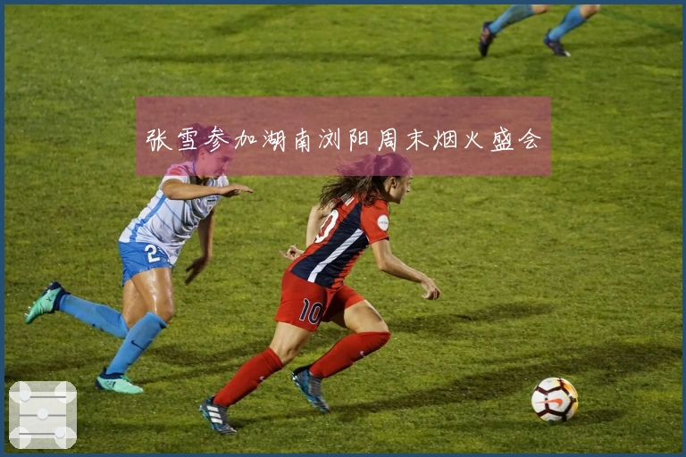 张雪参加湖南浏阳周末烟火盛会